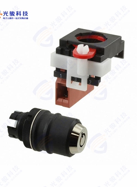 A22TK-2LL-01-01 《SWITCH KEYLCK 2POS SPST 10A 110V》