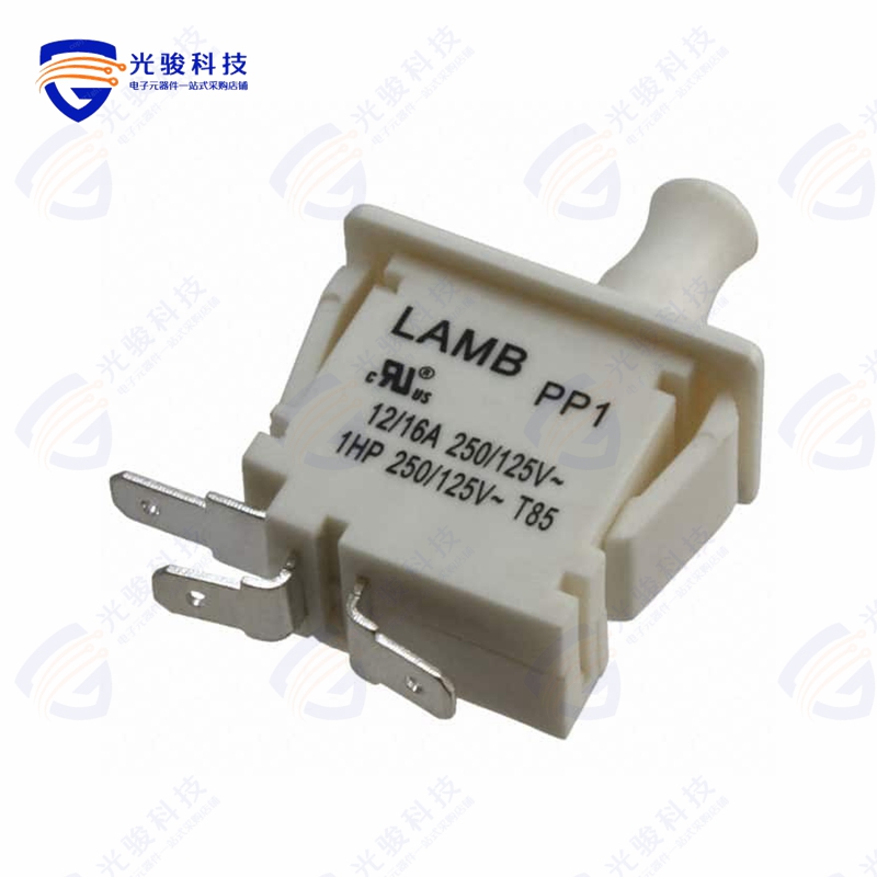 PP1-DT7-2B2 《SWITCH SNAP ACTION SPDT 16A 125V》
