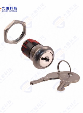 Y201132C201NQ 《SWITCH KEYLOCK 2POS DPDT 4A 125V》