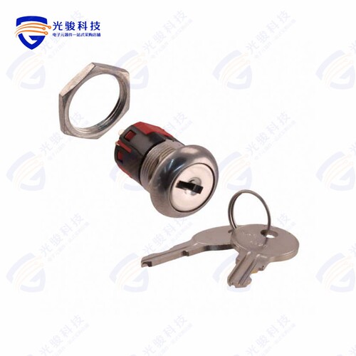 Y201132C201NQ 《SWITCH KEYLOCK 2POS DPDT 4A 125V》