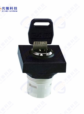 1.30076.3210000 《CONFIG SW BODY KEYLOCK NON-ILLUM》