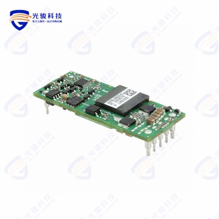 48S3V3 3.3V 50W CONVERTER AVO50C