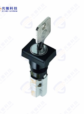 1.15108.9410000 《SWITCH KEYLOCK 2POS DPST 4A 250V》