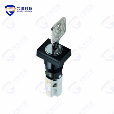 1.15108.6320100 《SWITCH KEYLOCK 2POS 4PST 4A 250V》