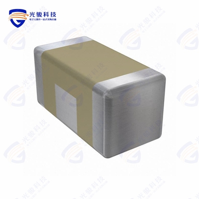 SBSPP1000153MXT《Knowles Syfer》