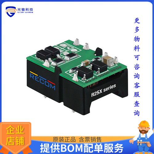 R2SX-2424-TRAY电源模块【DC DC CONVERTER 24V 2W】