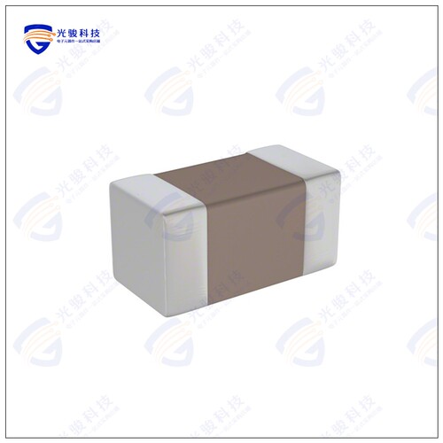 RCNL25R0F04R5KTT 滤波器FILTER RC 25 OHMS/4.5PF SMD