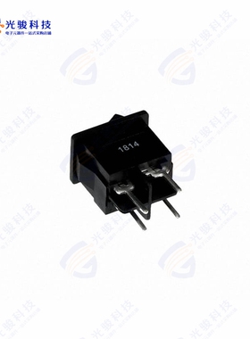 RA83231100 《SWITCH ROCKER DPST 16A 125V》