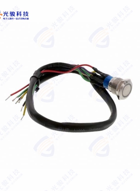 AV1920EG12T5Q04 《SWITCH PUSHBUTTON DPDT 3A 250V》