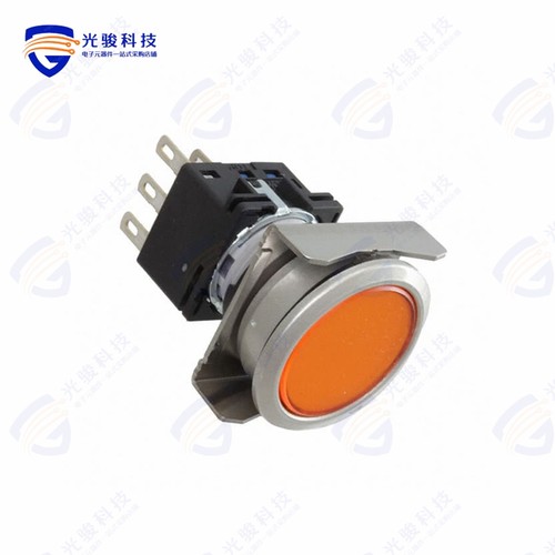 LBW6ML-M1T54A 《LBW FLUSH ILLD PB MOME. AMBER》