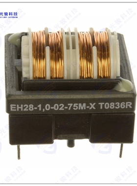 EH28-1.0-02-75M-X 滤波器CMC 75MH 1A 2LN TH
