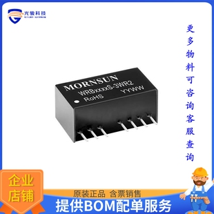 WRB4803S-3WR2电源模块【ISOLATED MODULE DC DC CONVERTER】