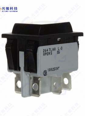 2647LH/2A212000L0 《SWITCH ROCKER DPDT 10A 125V》