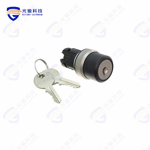 45-290Z.3000.113 《KEYLOCK SWITCH ACTUATOR 3 POSITI》