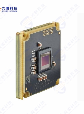 11488《CAMERA COLR BAREBOARD PYTHON480》