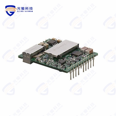 SFS30483R3C《DC DC CONVERTER 3.3V 30W》