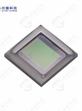 MT9P031I12STM-DP1《SENSOR IMAGE 5MP MONO CMOS 48LCC》