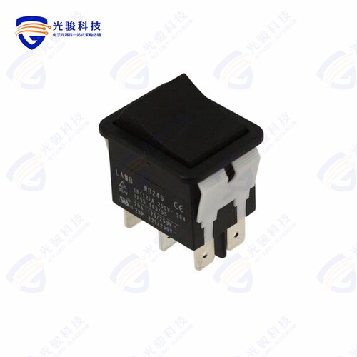 WB246D1100 《SWITCH ROCKER DPDT 20A 125V》