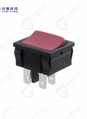 D602J13S215QA 《SWITCH ROCKER DPST 10A 125V》