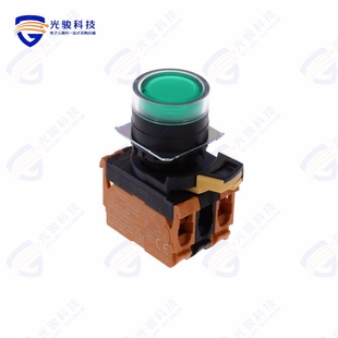 10A G202 PUSH DPST SWITCH TGA 120V A22NL BGM