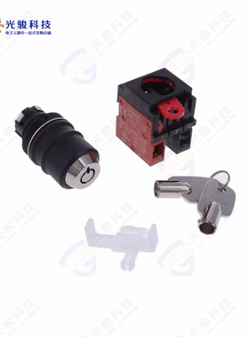 A22TK-2LR-11-K01 《SWITCH KEYLCK 2POS DPST 10A 110V》