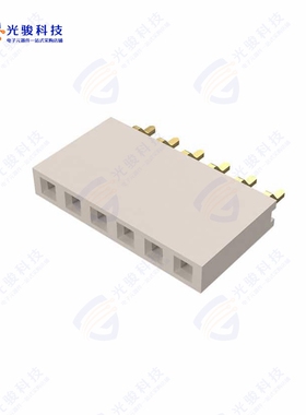 BG300-06-A-L-A《6W, 2.54MM PTH SOCKET, SIL, SMT,》