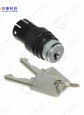 61-2501.0/D 《CONFIG SW BODY KEYLOCK NON-ILLUM》