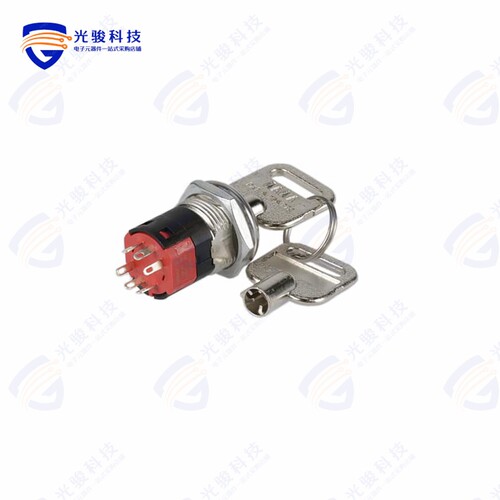 Y201132V203NQ 《SWITCH KEYLOCK 2POS DPDT 4A 125V》