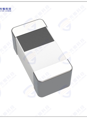 WLCM0603TGB1N3TB 电感器INDUCTOR FIXED 1.3NH 0201