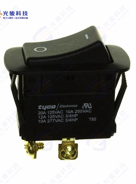 1-1571102-1 《SWITCH ROCKER DPST 20A 125V》
