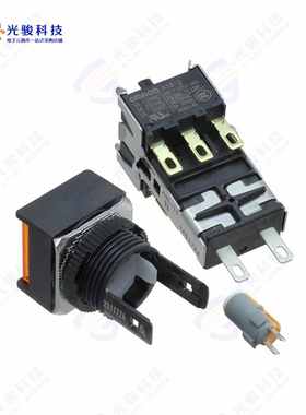 A165L-AYM-T1-2 《SWITCH PUSHBUTTON DPDT 5A 125V》