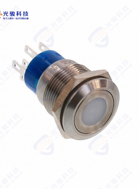 AV1920DB12Q04 《SWITCH PUSHBUTTON DPDT 3A 250V》