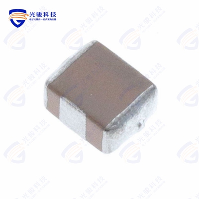 SBSMP0500474MXT《Knowles Syfer》