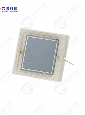 RD-100《10X10 MM FULLY DEPLETED, HIGH EN》