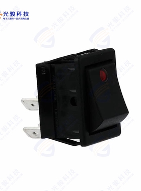 C1553PTNAB 《SWITCH ROCKER DPST ILLUM》