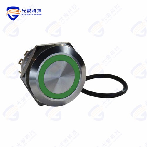 DH221NBSG24 《ILLUMINATED, IP67 ANTI-VANDAL SW》