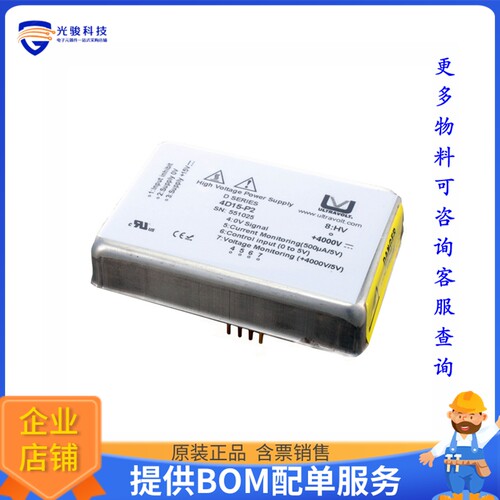 4D15-P2电源模块【D-SERIES DC TO HVDC CONVERTER, S】