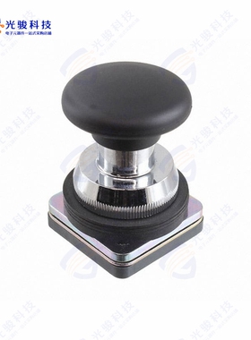 AM2 《CONFIG SW BODY PUSHBUT NON-ILLUM》