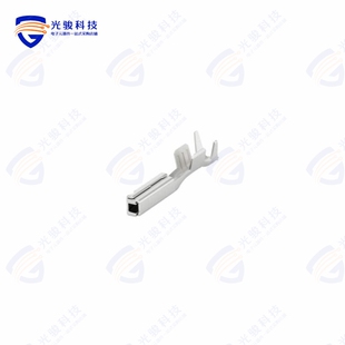 FEMALE GET AGSN TERMINAL 1924880