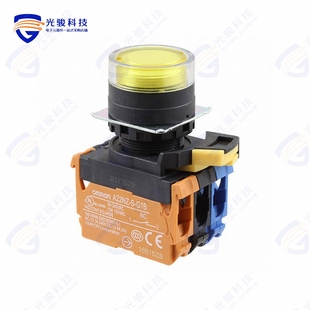 10A G202 PUSH DPST SWITCH TYA 120V A22NL BGM