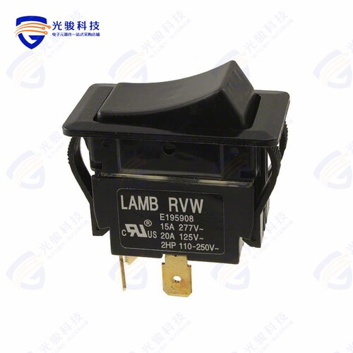 RVWG42D1100 《SWITCH ROCKER DPST 20A 125V》