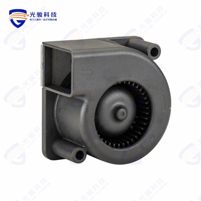 K5331Y12BALB2A-37《53X53X31MM TITAN SERIES 12V DC B》