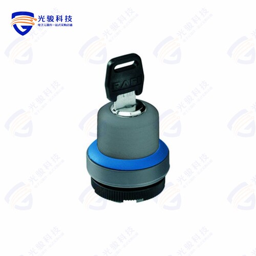 1.30255.3020000 《CONFIG SW BODY KEYLOCK NON-ILLUM》