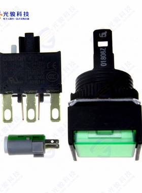 A165L-AGA-T1-2 《SWITCH PUSHBUTTON DPDT 5A 125V》