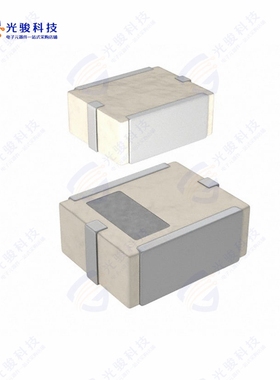 DEA252593BT-2074A3《RF FILTER BANDPASS 2.593GHZ 1008》