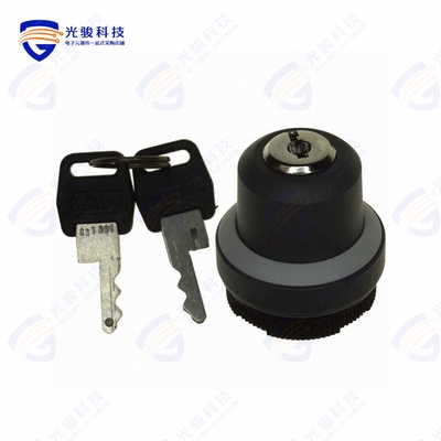 1.30255.3210800 《CONFIG SW BODY KEYLOCK NON-ILLUM》