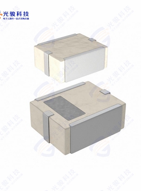 DEA252450BT-7014D1《RF FILTER BAND PASS 2.45GHZ 1008》
