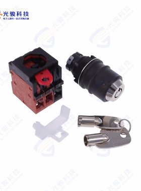 A22TK-2RL-12-K03 《SWITCH KEYLCK 2POS DPST 10A 110V》