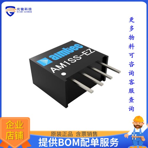 AM1SS-0924SEZ电源模块【DC/DC Converter 24V 1W】