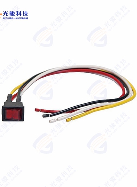 CWSB21CACF-WL 《NEON MINIATURE POWER ROCKER WITH》